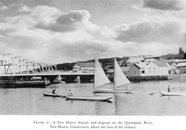 new haven sharpie